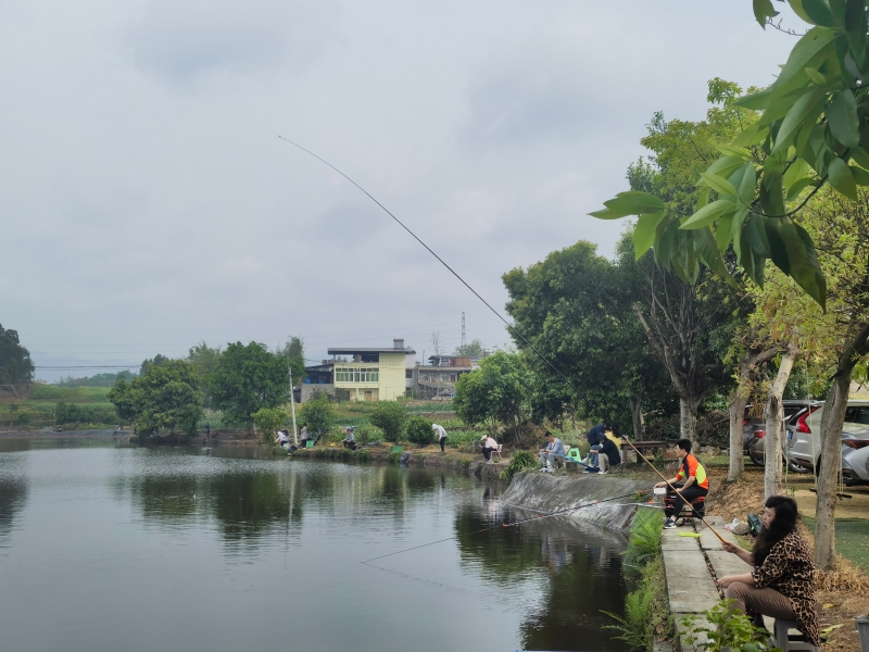 BKay_1745289703181085036.jpg 钓鱼比赛6.jpg