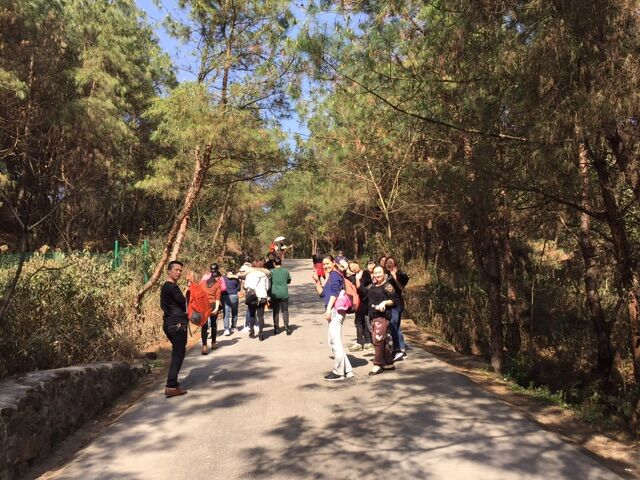 1521429841183027188.jpg QQ图片20180314084202.jpg