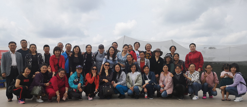 1571649124115041801.png QQ图片20191017095111.png